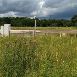 Regenrückhaltebecken in der Eidelstedter Feldmark