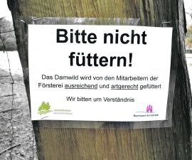 Damwild bitte nicht (mehr) füttern!