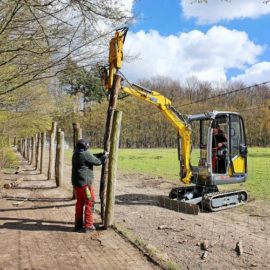 Neue Pfähle für das Wildgehege