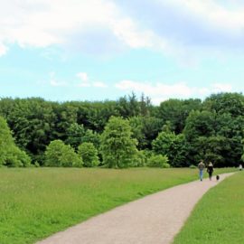 Sommerrätsel aus dem Niendorfer Gehege