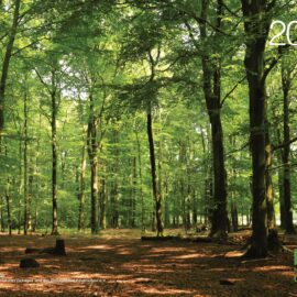 Fotokalender für 2026