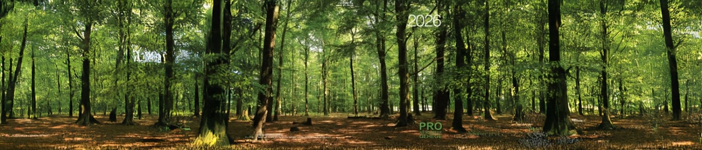 Unser Fotokalender 2026 ist da!