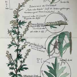 Kreativ die Natur entdecken – draußen & im Café