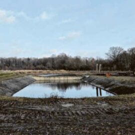 Rückschnitt am Rückhaltebecken