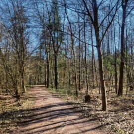 Niendorfer Gehege ist einfach spitze!